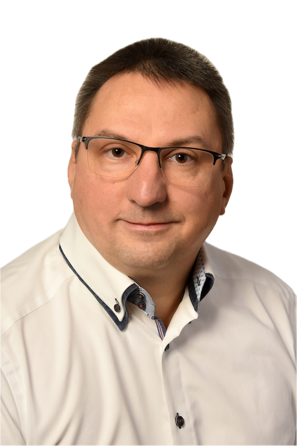 Andrzej Goldmann